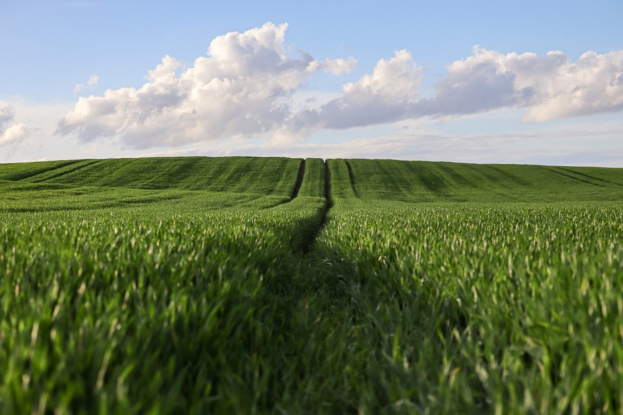explore the latest emerging technologies in agriculture, including innovations that enhance productivity, sustainability, and efficiency in modern farming practices.